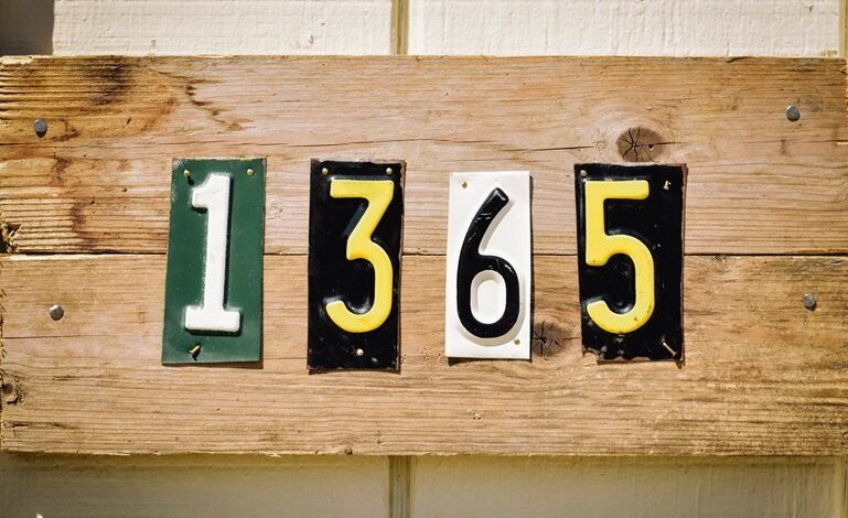 phone number with leading digits 9044508120