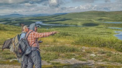 the ultimate guide details