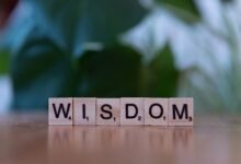 top reasons to learn 2405586642