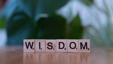 top reasons to learn 2405586642