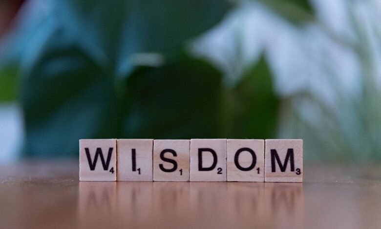 top reasons to learn 2405586642
